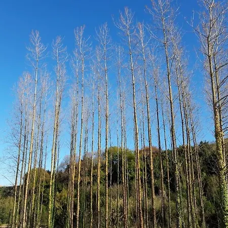 Playa Surf Pintxos Que Mas شقة