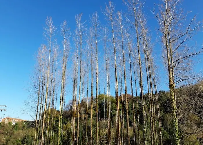 Playa Surf Pintxos Que Mas Apartmán